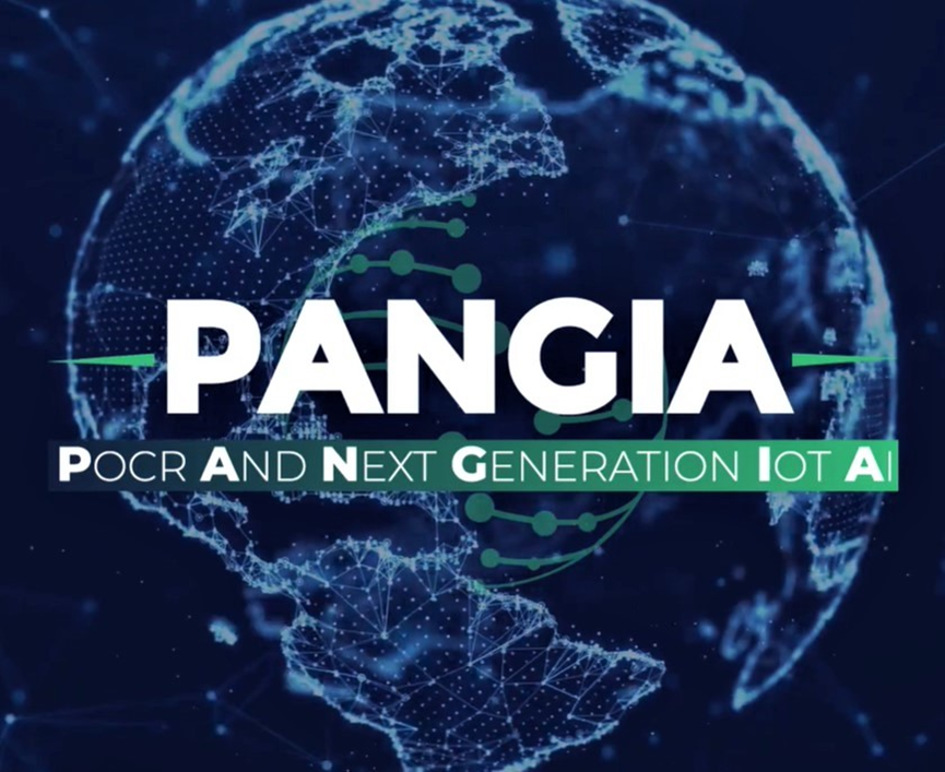  ֻƽ̨PANGIACSMڹпPOCR-<a href=https://www.bjfsdex.com target=_blank class=infotextkey><a href=https://www.bjfsdex.com target=_blank class=infotextkey></a></a>