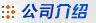 公司简介