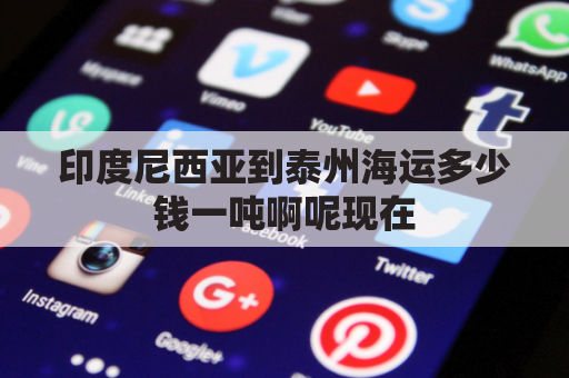 印度尼西亚到泰州海运多少钱一吨啊呢现在(印度尼西亚海运港口)