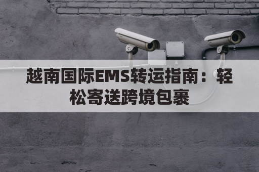 越南国际EMS转运指南：轻松寄送跨境包裹