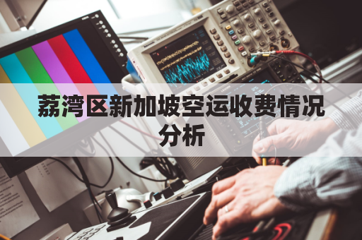 荔湾区新加坡空运收费情况分析(新加坡 空运)